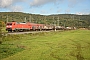 Bombardier 33491 - DB Cargo "185 076-7"
10.10.2026 - Ludwigsau-ReilosNiklas Mergard
