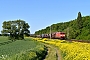 Bombardier 33493 - DB Cargo "185 078-3"
14.05.2024 - Nörten-HardenbergFrederik Reuter
