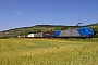 Bombardier 33498 - Lokomotion "185 509-7"
13.06.2025 - Thüngersheim
Wolfgang Mauser