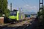 Bombardier 33517 - BLS Cargo "485 001-2"
10.09.2016 - Köndringen
Vincent Torterotot