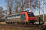 Bombardier 33527 - SBB Cargo "482 012-2"
03.02.2025 - Hamm (Westfalen)-Lerche
Ingmar Weidig