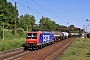 Bombardier 33537 - SBB Cargo "482 013-0"
03.06.2011 - Schkopau
René Große