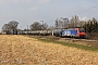 Bombardier 33537 - SBB Cargo "482 013-0"
24.03.2012 - Hummeldorf
Fokko van der Laan