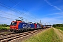 Bombardier 33539 - SBB Cargo "482 014-8"
02.06.2022 - Heidelberg-Grenzhof
Wolfgang Mauser