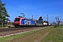 Bombardier 33539 - SBB Cargo "482 014-8"
11.04.2025 - Wiesental
Wolfgang Mauser