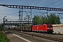 Bombardier 33546 - SBB Cargo "185 111-2"
28.04.2012 - Muttenz
Vincent Torterotot