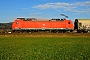 Bombardier 33547 - DB Cargo "185 112-0"
14.02.2018 - Dottikon
Peider Trippi