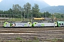 Bombardier 33548 - BLS Cargo "485 003-8"
05.10.2013 - Domodossola
Martin Greiner