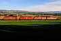 Bombardier 33552 - DB Schenker "185 114-6
"
14.11.2010 - Mühlau bei SinsPeider Trippi