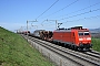 Bombardier 33552 - DB Cargo "185 114-6"
20.03.2019 - Muhlau
Michael Krahenbuhl