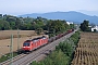 Bombardier 33558 - DB Cargo "185 117-9"
16.09.2018 - Teningen
Vincent Torterotot