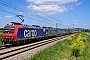 Bombardier 33565 - SBB Cargo "482 016-3"
15.05.2025 - Heddesheim
Wolfgang Mauser