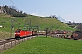 Bombardier 33566 - DB Schenker "185 121-1
"
29.03.2012 - Arth Goldau
Philipp Schäfer