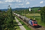 Bombardier 33572 - SBB Cargo "482 019-7"
21.08.2014 - Dentzlingen
Vincent Torterotot