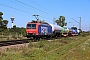 Bombardier 33572 - SBB Cargo "482 019-7"
07.09.2023 - Wiesental
Wolfgang Mauser