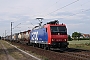 Bombardier 33578 - TXL "482 021-3"
20.05.2011 - Wiesental
Wolfgang Mauser