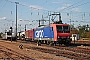 Bombardier 33578 - SBB Cargo "482 021-3"
19.09.2018 - Basel Badischen Bahnhof
Tobias Schmidt