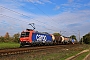 Bombardier 33578 - SBB Cargo "482 021-3"
18.10.2022 - Waghäusel
Wolfgang Mauser