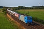 Bombardier 33581 - RheinCargo "2008"
12.07.2013 - Ramelsloh
Erik Körschenhausen