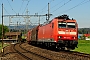 Bombardier 33583 - DB Cargo "185 132-8"
21.04.2017 - Oberrüti
Peider Trippi