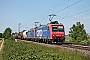 Bombardier 33587 - SBB Cargo "482 023-9"
19.05.2020 - Buggingen
Tobias Schmidt