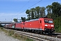 Bombardier 33591 - DB Cargo "185 137-7"
15.09.2023 - Riegel-Malterdingen
André Grouillet