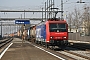 Bombardier 33593 - SBB Cargo "482 025-4"
14.02.2008 - Wohlen
Brian Daniels