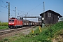 Bombardier 33594 - DB Cargo "185 138-5"
09.04.2017 - Auggen
Vincent Torterotot