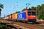 Bombardier 33600 - SBB Cargo
04.09.2012 - Bickenbach (Bergstraße)
Kurt Sattig