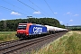 Bombardier 33603 - SBB Cargo "482 029-6"
04.07.2023 - Retzbach-Zellingen
Wolfgang Mauser