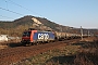 Bombardier 33603 - SBB Cargo "482 029-6"
24.03.2012 - Kahla (Thüringen)
Christian Klotz