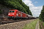 Bombardier 33604 - DB Schenker "185 142-7
"
17.06.2011 - Großpürschütz
Christian Klotz