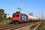 Bombardier 33605 - SBB Cargo "482 030-4"
27.10.2022 - Wiesental
Wolfgang Mauser