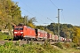 Bombardier 33606 - DB Schenker "185 143-5"
20.10.2012 - Reichenbach (Fils)
Daniel Powalka