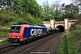 Bombardier 33607 - SBB Cargo "482 031-2"
08.05.2017 - Wildeck-Hönebach, Hönebachtunnel
Paul Tabbert