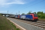 Bombardier 33611 - SBB Cargo "482 034-6"
25.04.2009 - Halle (Saale)
Nils Hecklau