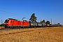 Bombardier 33617 - DB Cargo "185 149-2"
23.08.2022 - Wiesental
Wolfgang Mauser