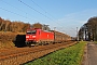 Bombardier 33623 - DB Schenker "185 153-4"
14.01.2014 - Laggenbeck
Heinrich Hölscher