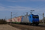 Bombardier 33624 - TXL "185 528-7"
29032021 - Kissing
Thomas Girstenbrei