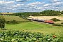 Bombardier 33638 - DB Cargo "185 163-3"
20.08.2021 - Laaber
Korbinian Eckert