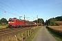 Bombardier 33647 - DB Cargo "185 169-0"
20.07.2016 - Langwedel
Marius Segelke