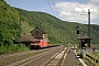 Bombardier 33648 - DB Schenker "185 170-8"
14.07.2011 - Kaub
Dany Neumann
