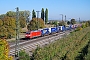 Bombardier 33655 - DB Cargo "185 174-0"
14.10.2018 - Müllheim (Baden)
Vincent TORTEROTOT