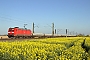 Bombardier 33656 - DB Cargo "185 175-7"
21.04.2016 - VecheldeMarius Segelke