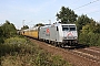 Bombardier 33657 - TXL "185 538-6"
18.09.2009 - Ahlem, Kilometer 16,8
Thomas Wohlfarth