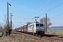 Bombardier 33663 - TXL "185 540-2"
21.03.2019 - Leißling
Tobias Schubbert