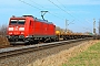 Bombardier 33666 - DB Cargo "185 182-3"
19.02.2025 - Münster (Hessen)Kurt Sattig