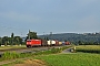 Bombardier 33667 - DB Schenker "185 183-1"
03.08.2013 - Uhingen (Fils)
Daniel Powalka