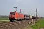 Bombardier 33682 - DB Schenker "185 192-2"
25.04.2013 - Obernjesa
Marcus Schrödter