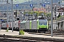 Bombardier 33685 - BLS Cargo "485 016-0"
26.04.2014 - Spiez
Gunther Lange